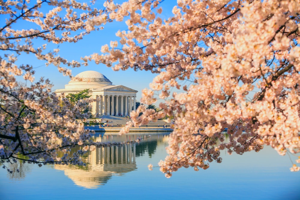 ワシントンD.C.の風景①