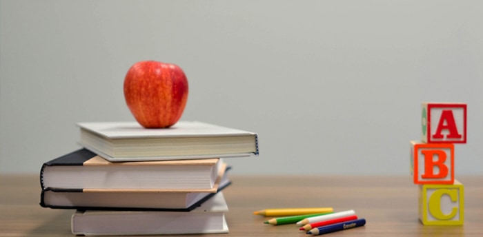 ニュージーランド中学留学の費用、成功させたい人必見!