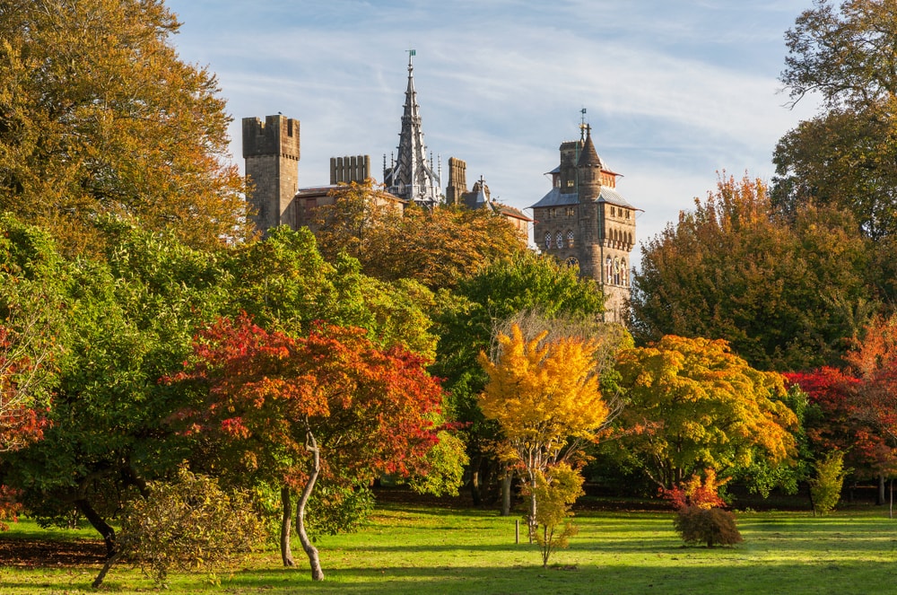 ビュートパーク