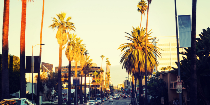 ロサンゼルス留学