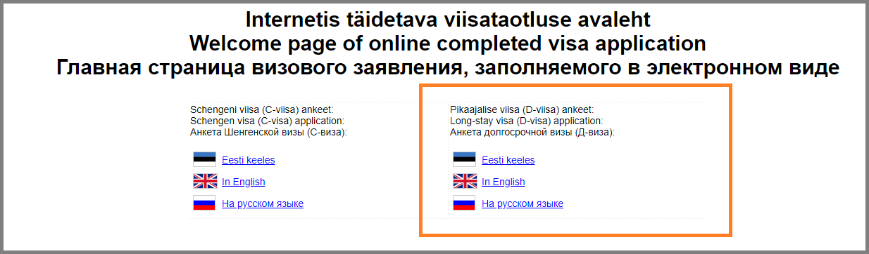 エストニアワーホリビザ_オンラインビザ申請フォーム