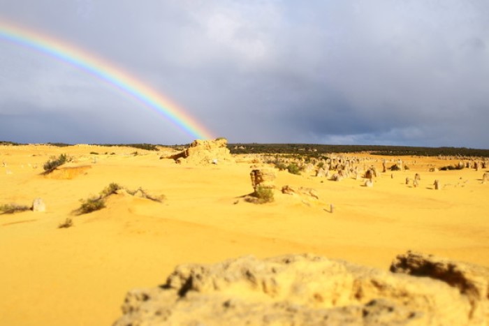 オーストラリアワーホリ_パース