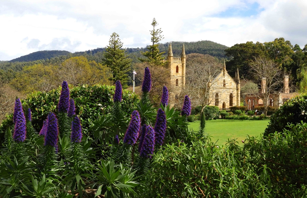 タスマニアワーホリ