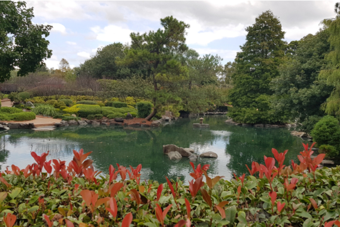 インナーウェスト留学